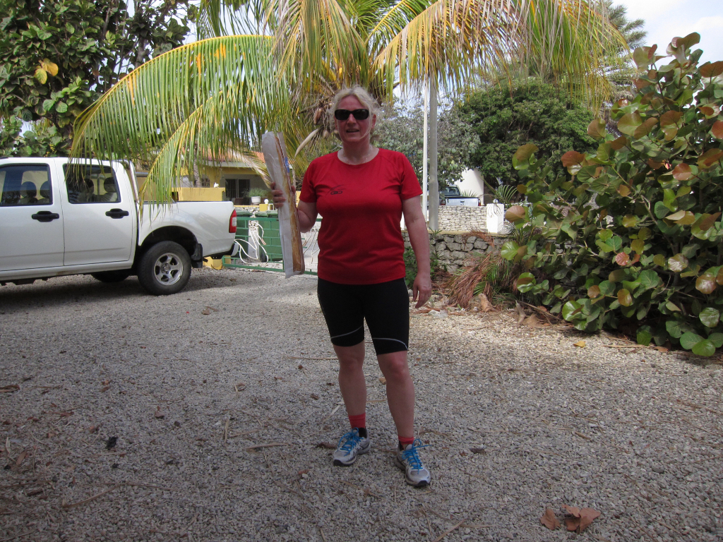 Bon Bini Bonaire