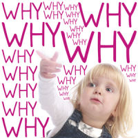 Why, tell me why