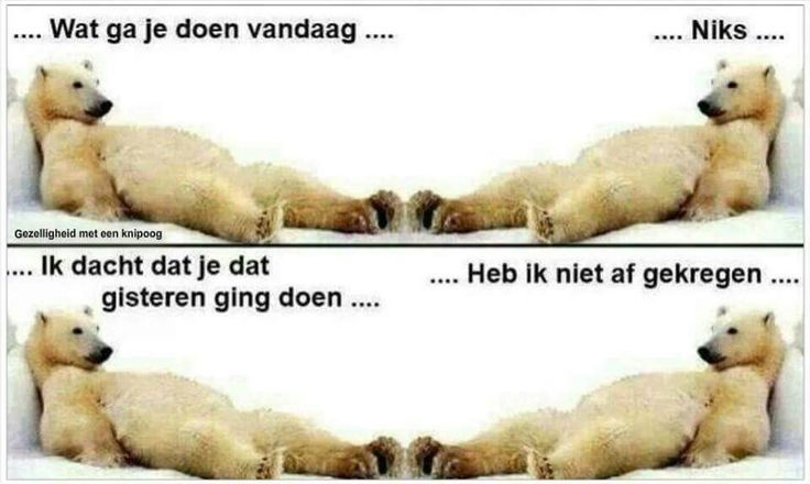 Bijna niets