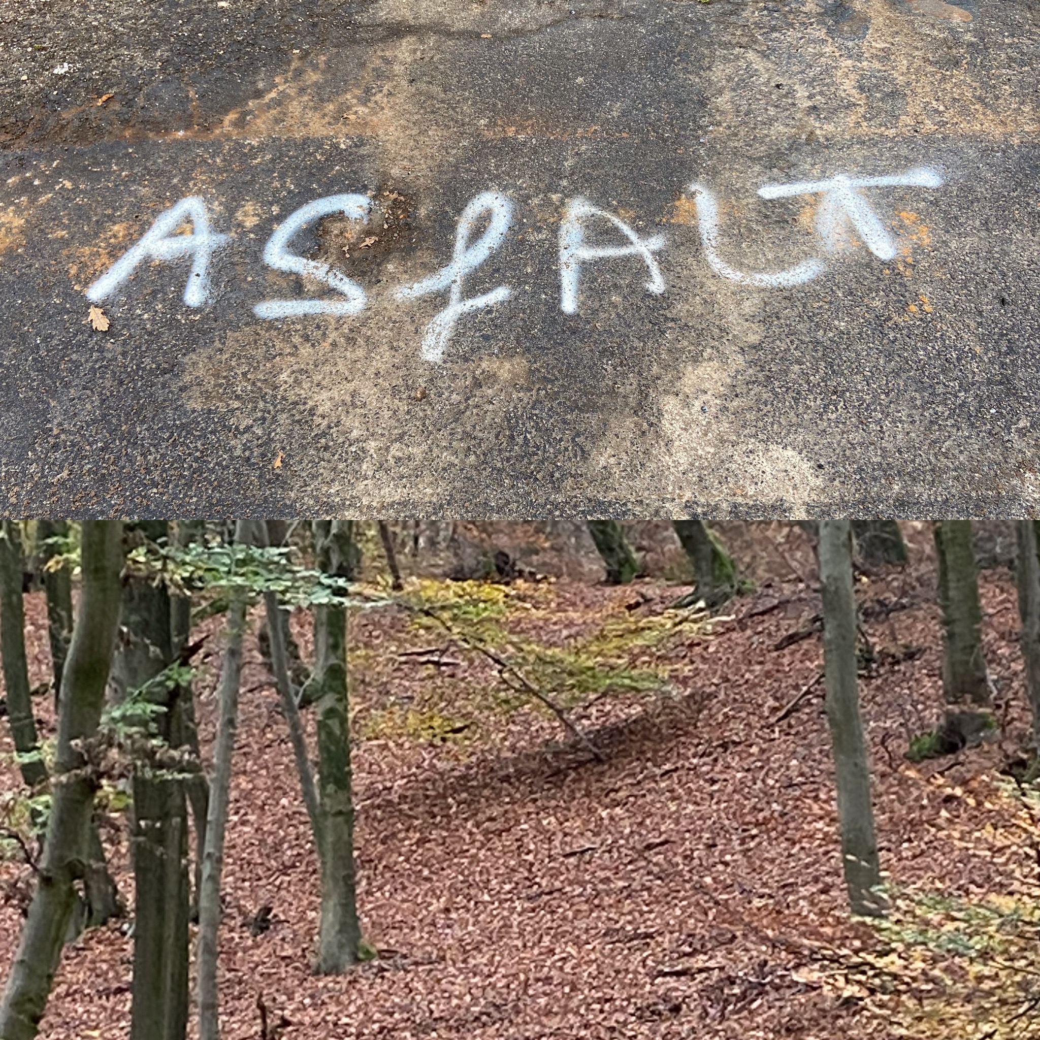 To Trail or to Asphalt