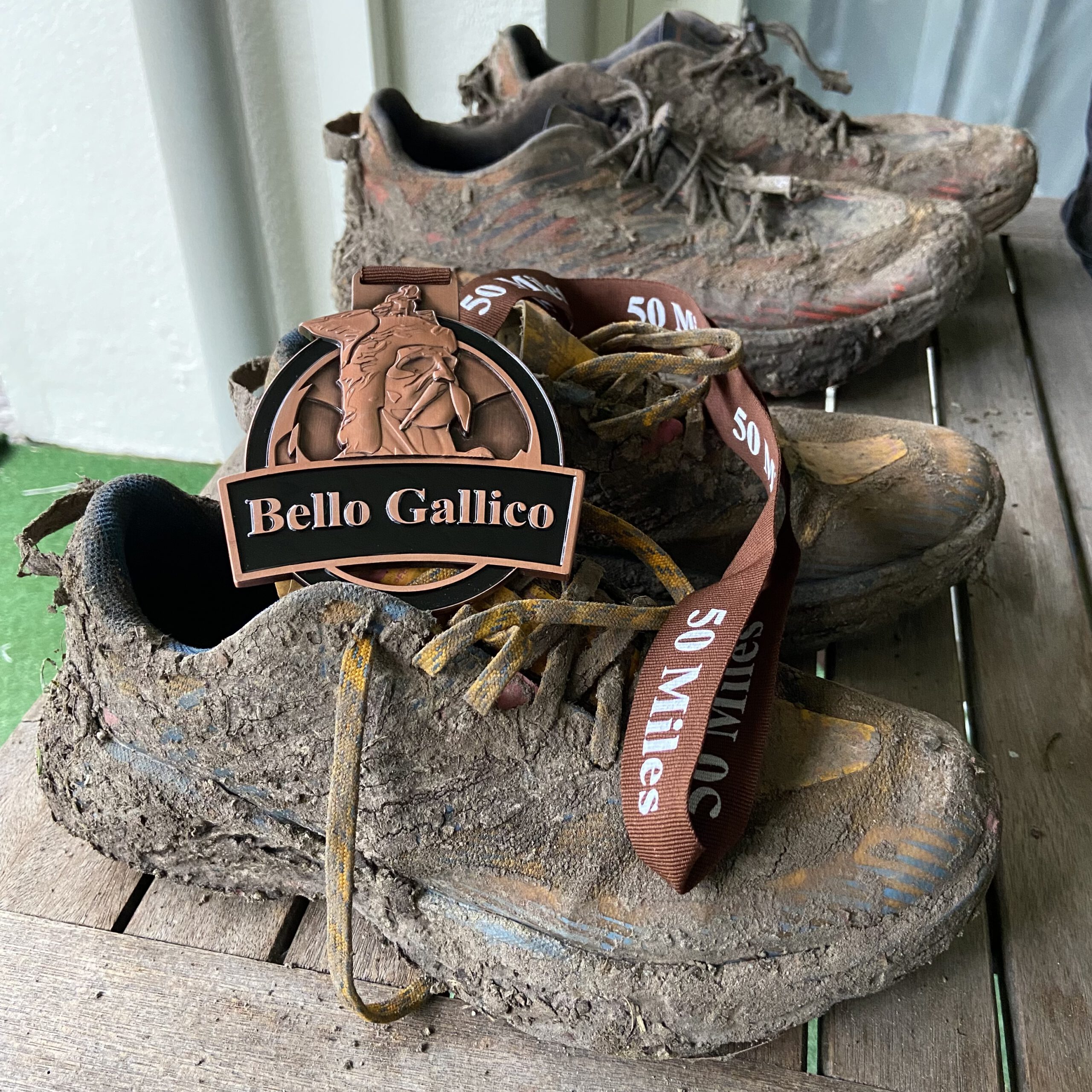 Bello Gallico: Mud version